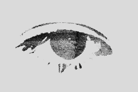 Ojo Cinemiradas